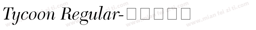Tycoon Regular字体转换